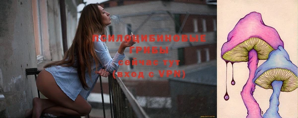 дурь Иннополис