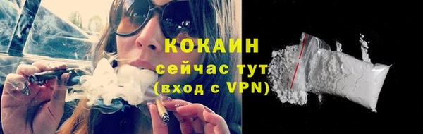 дмт Инта