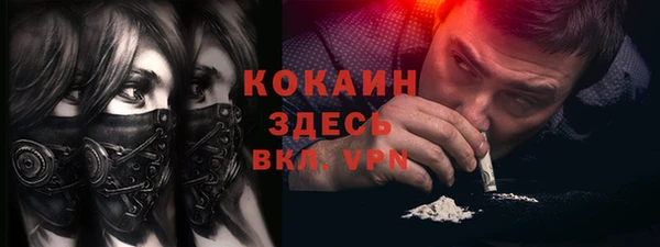 дмт Инта