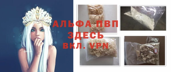 дмт Инта