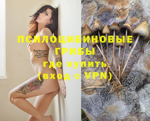 дурь Иннополис