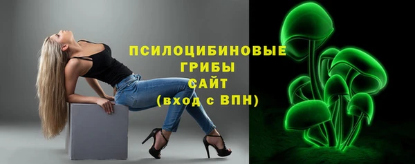 винт Инсар