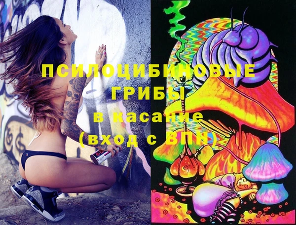 винт Инсар