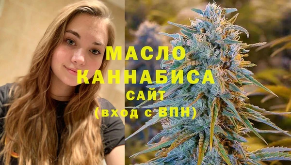 дмт Инта