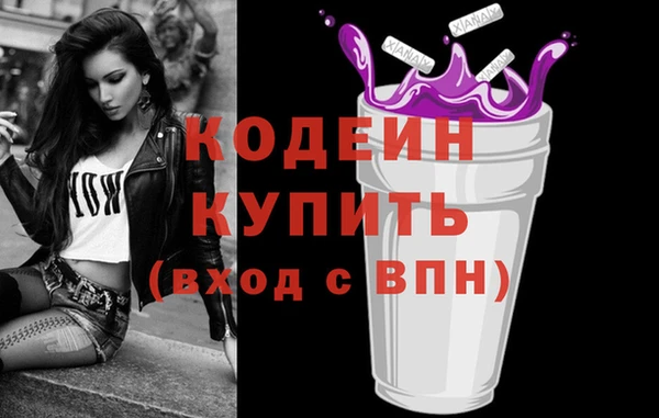 дмт Инта