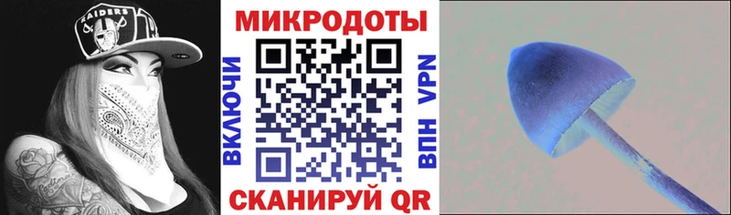 Галлюциногенные грибы Cubensis  Купить закладки  Кудымкар 